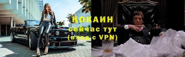 соль ск Нея
