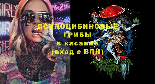 spice Снежинск