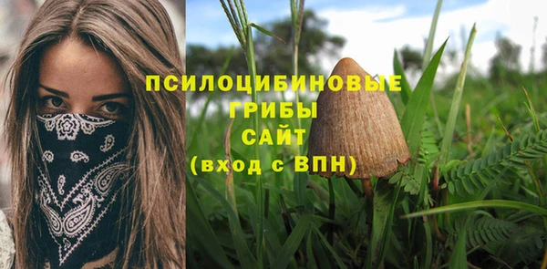 бутик Снежногорск