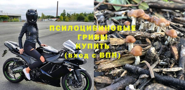 твердый Козловка