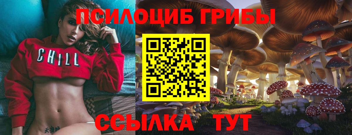 Галлюциногенные грибы Psilocybine cubensis Сосновый Бор