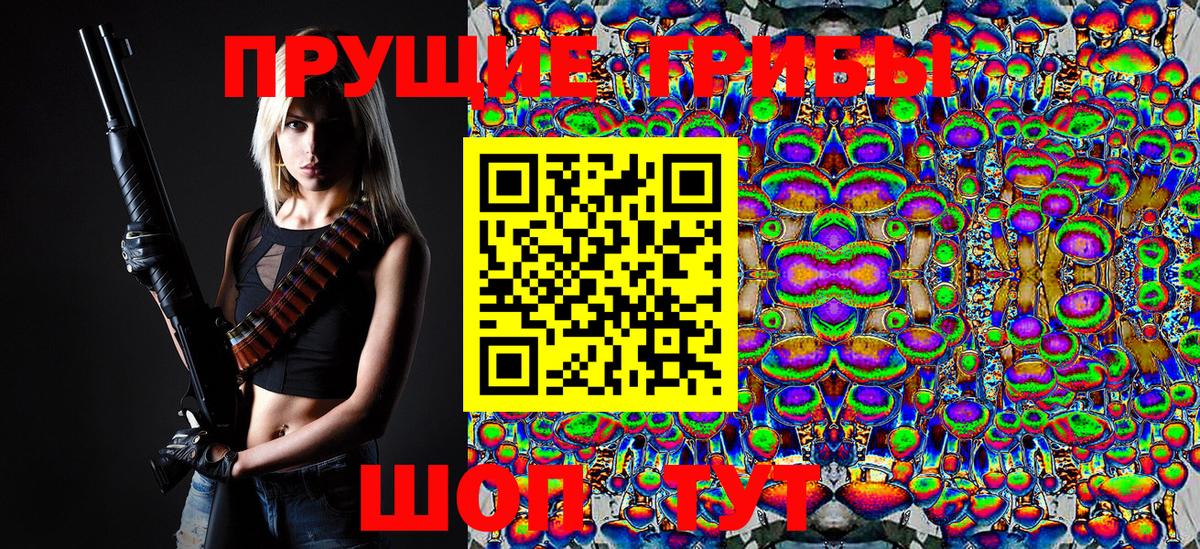 Сосновый Бор  Псилоцибиновые грибы Psilocybine cubensis  наркотики  Вход с VPN 