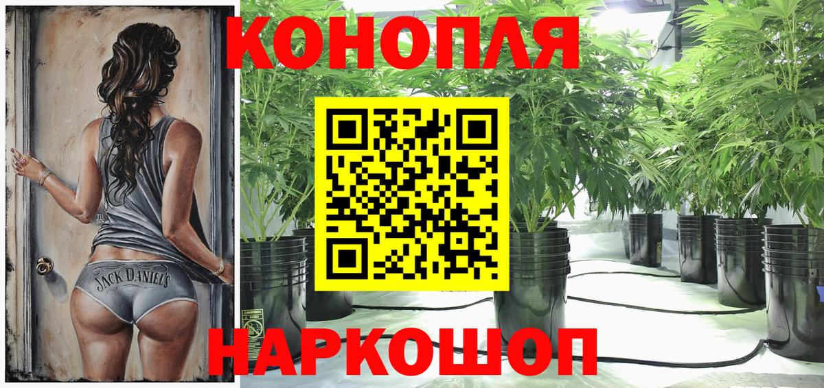 Марихуана Ganja Сосновый Бор